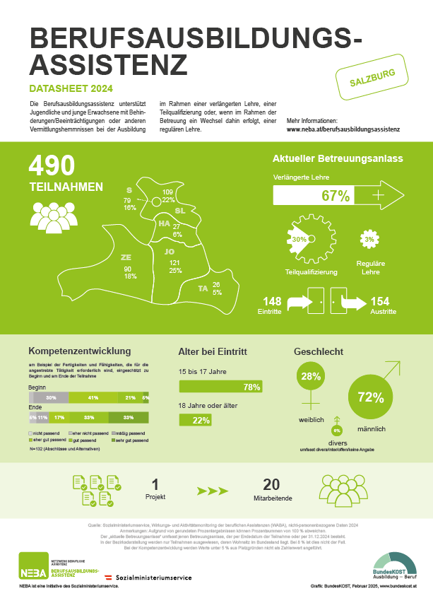 Darstellung Berufsausbildungsassistenz Datasheet 2024 (PDF)